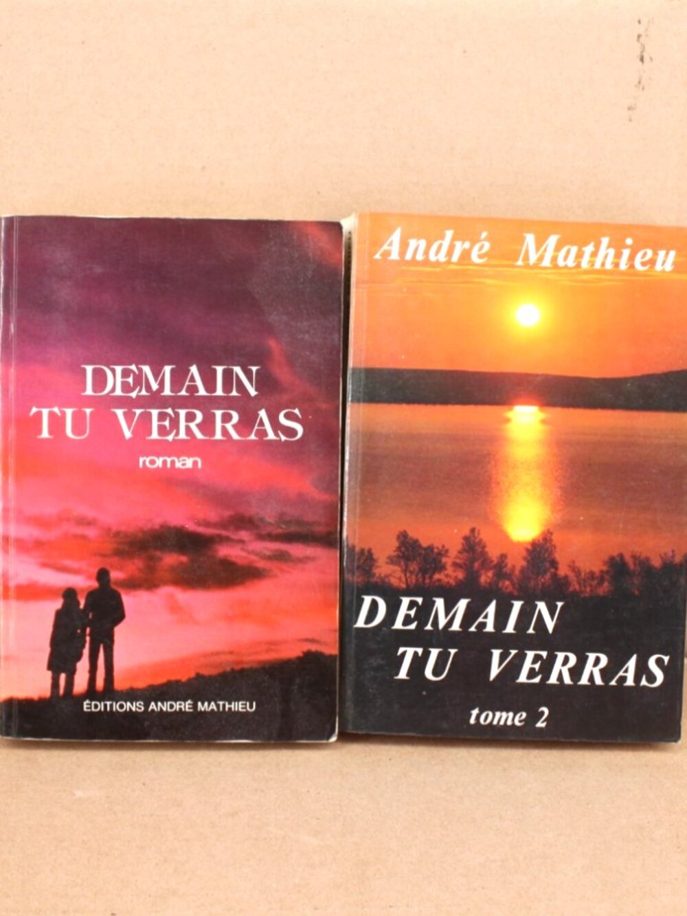 Lot 2 Livres Books - André Mathieu - Demain Tu Verras Tome 1-2 French
